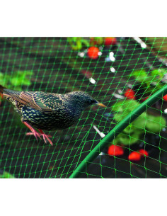 MALLA ANTIPAJAROS 8 x 10 BIRDNET 2