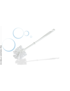 ESCOBILLA HIDALGO ECONOMICO