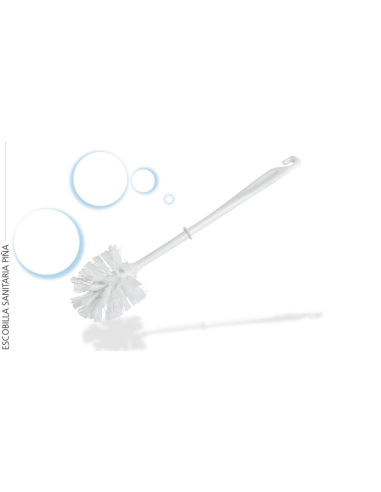 ESCOBILLA HIDALGO ECONOMICO