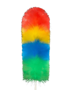 PLUMERO COCHE IRIS 70 cm