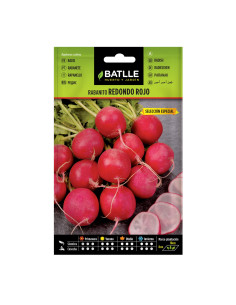 RABANITO BATLLE SOB. 15105 REDONDO