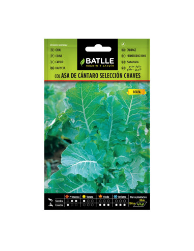 COL BATLLE SOB. 12103 CHAVES COL RIZADA