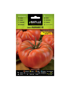 TOMATE BATLLE SOBRE 15901 MARMANDE VR-HOLANDA