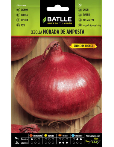 Batlle Semillas Cebolla Morada de Amposta...