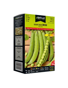 GUISANTE PAQUETE  250 LINCOLN BAJO