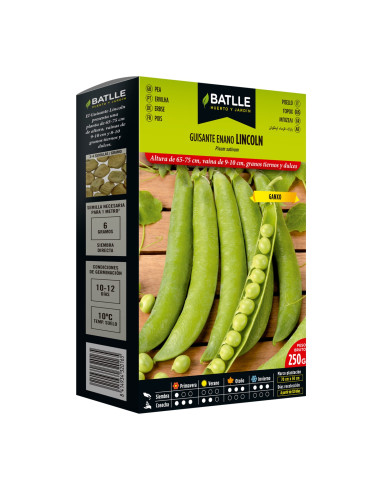 GUISANTE PQT. 250 LINCOLN BAJO