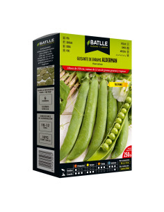 GUISANTE PAQUETE  250 ALDERMAN ALTO