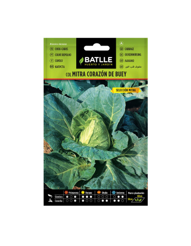 COL BATLLE SOBRE 11911 CORAZON DE BUEY MITRA