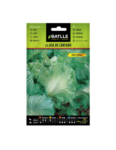 COL BATLLE SOB. 12101 FORR. ASA CANT.