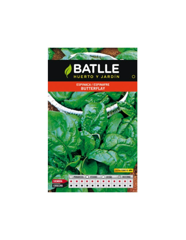 ESPINACA BATLLE SOBRE 13506 BUTTERFLAY