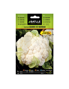 COLIFLOR BATLLE SOB. 12302 GDE. NAVID