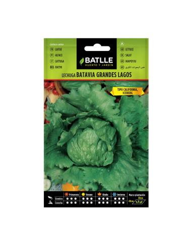 LECHUGA BATLLE SOBRE 13713 GRANDES LAGOS