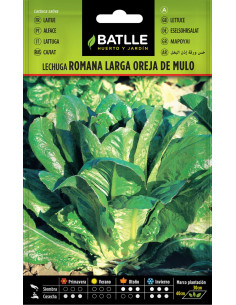 Batlle Semillas Lechuga Romana Larga Oreja de Mulo 13702