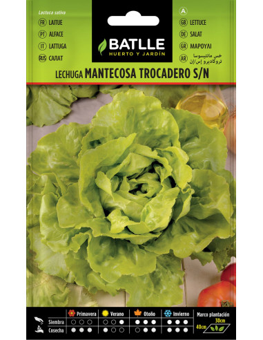 Batlle Semillas Lechuga Trocadero 13718