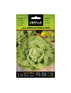 LECHUGA BATLLE SOB. 13722 REINA MAYO