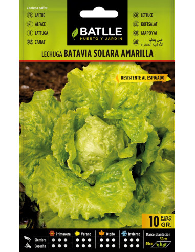 Batlle Semillas Lechuga Batavia Solara Amarilla...
