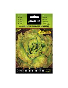 LECHUGA BATLLE SOB. 13712 MARAV. VERA