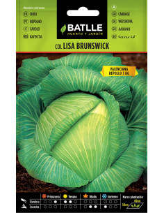 Batlle Semillas Col Repollo Brunswick Valenciana 11906