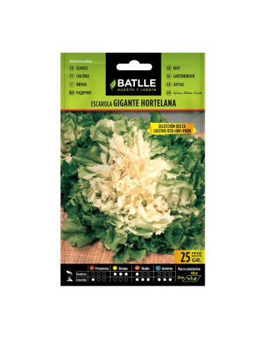 ESCAROLA BATLLE SOB. 13104 GTE. HORTE