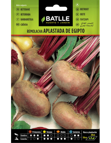 Batlle Semillas Remolacha de Mesa Aplastada de...