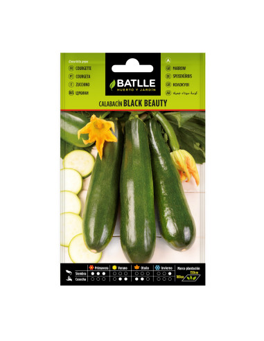 CALABACIN BATLLE SOBRE 11101 BLACK BEAUTY