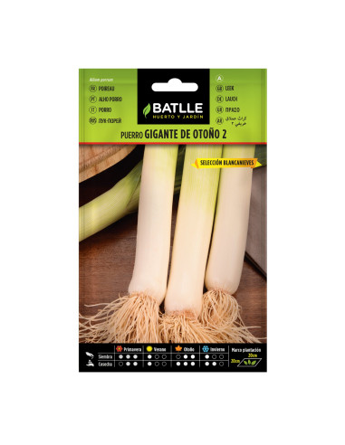 PUERRO BATLLE SOBRE 14903 OTOÑO 2 BLANCANIEVES