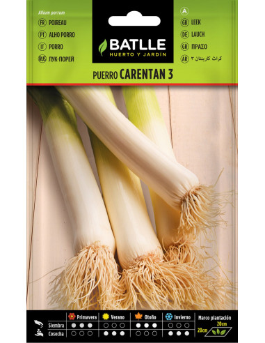 Batlle Semillas Puerro Carentan 3 14902