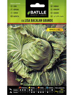 Batlle Semillas Col Repollo Bacalán Grande 11905 10 g