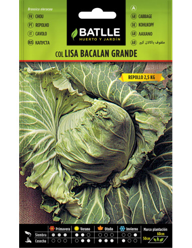 COL BATLLE SOBRE 11905 BACALAN GRANDE