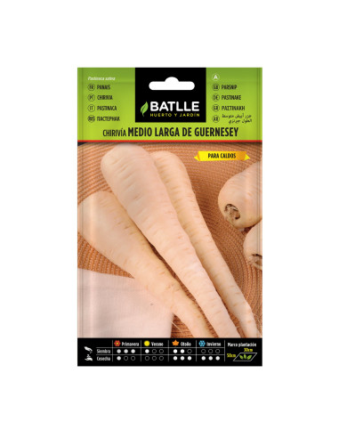 CHIRIVIA BATLLE SOBRE 12701 MEDIO LARGA GUERNESEY