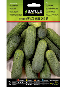 Batlle Semillas Pepinillo Wisconsin SMR 18 14302
