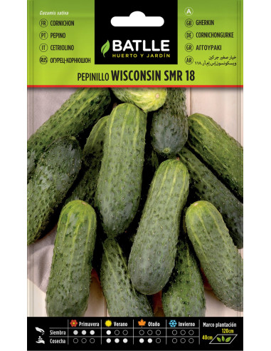 Batlle Semillas Pepinillo Wisconsin SMR 18 14302