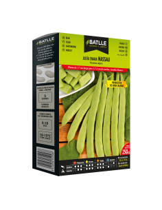 JUDIA PAQUETE  250 NASSAU ENANA