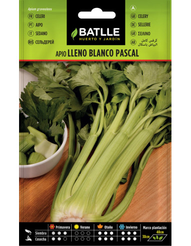 APIO BATLLE SOBRE 10302  LLENO BLANCO PASCAL