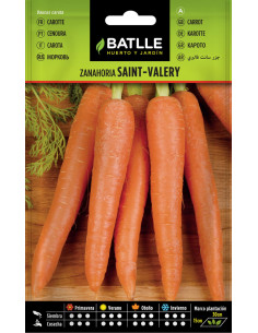 ZANAHORIA BATLLE SOB. 16106 S. VALERY