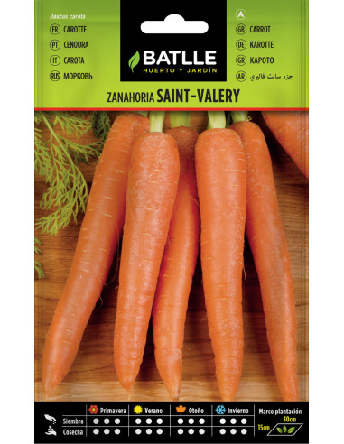 ZANAHORIA BATLLE SOB. 16106 S. VALERY