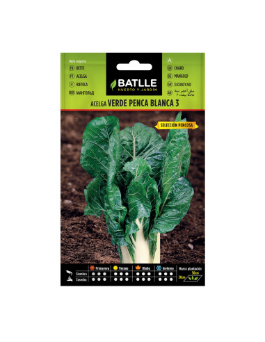 ACELGA BATLLE SOBRE 10102 VERDE DE PENCA BLANCA