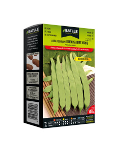 JUDIA PAQUETE  100 BUENOS AIRES VERDE SELECCIÓN EVITA