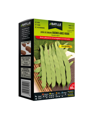 JUDIA PAQUETE  100 BUENOS AIRES VERDE SELECCIÓN...