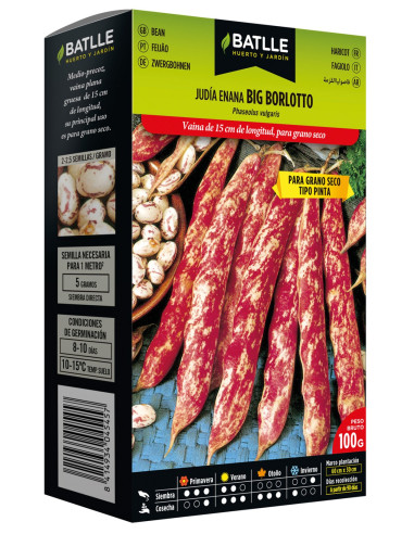 JUDIA GRANO SECO BORLOTTO PAQUETE 250