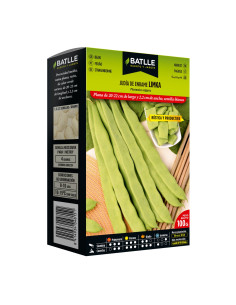 JUDIA PAQUETE  100 LIMKA ALTA