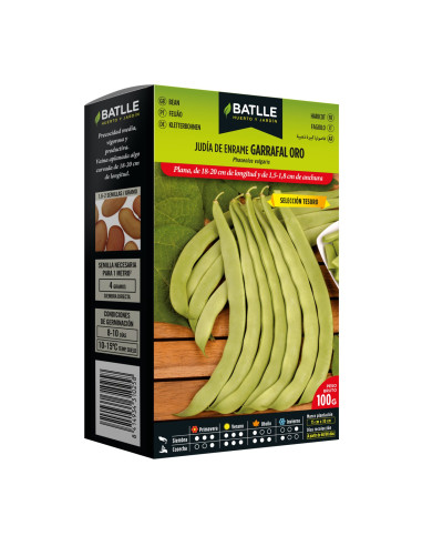 JUDIA PAQUETE  100 GARRAFAL ORO SELECCIÓN TESORO