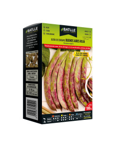 JUDIA PAQUETE  100 BUENOS AIRES ROJA SELECCIÓN CONDOR