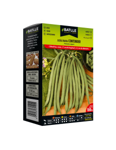 JUDIA PAQUETE  100 CONTENDER ENANA