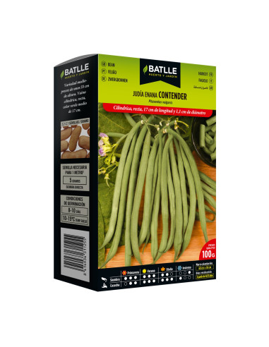 JUDIA PAQUETE  100 CONTENDER ENANA