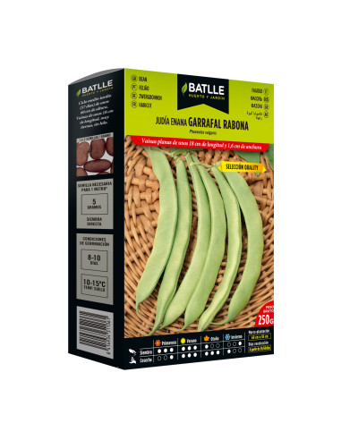 JUDIA PAQUETE  250 GARRAFAL RABONA SELECCIÓN...
