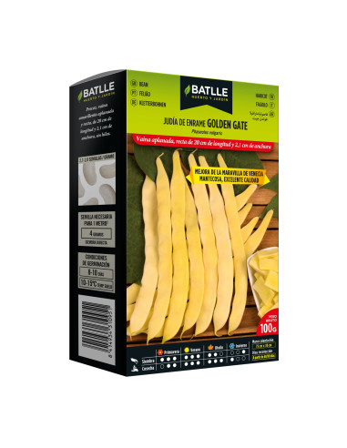 JUDIA PAQUETE  100 MARAVILLA VENECIANA GOLDEN GATE