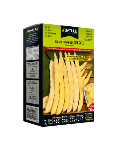 JUDIA PAQUETE  250 MARAVILLA VENECIANA GOLDEN GATE