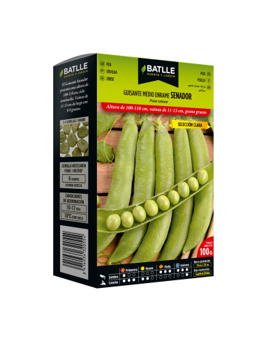 GUISANTE PAQUETE  100 SENADOR MEDIO