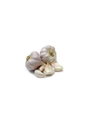 Ajo Blanco de Aceuchal para Siembra 500 g